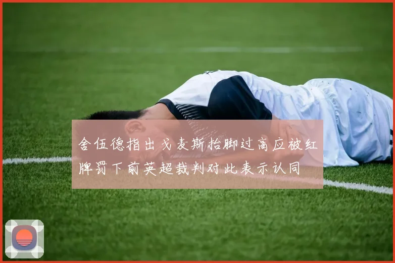 舍伍德指出戈麦斯抬脚过高应被红牌罚下前英超裁判对此表示认同