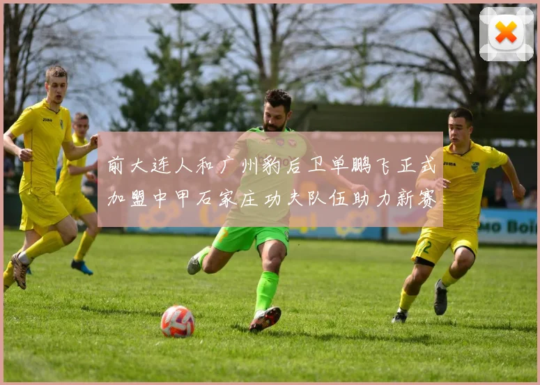 前大连人和广州豹后卫单鹏飞正式加盟中甲石家庄功夫队伍助力新赛季
