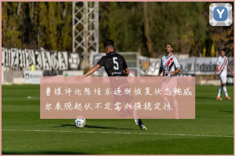 鲁媒评论陈培东逐渐恢复状态鲍威尔表现起伏不定需加强稳定性