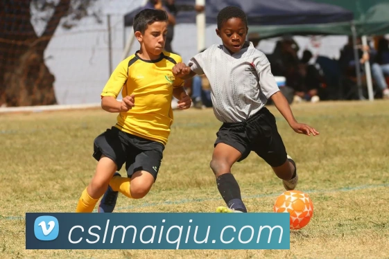 中超买球官网APP 高清赛事图